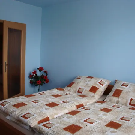 Guest house Olga 3*