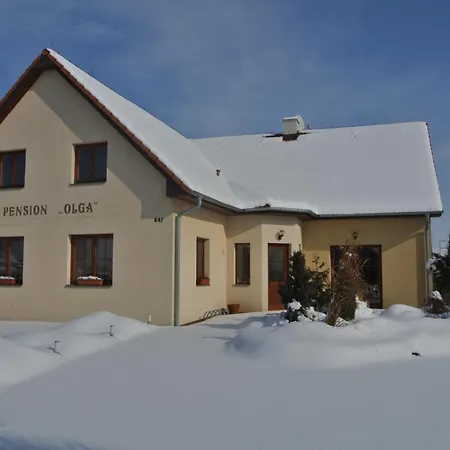 Olga Guest house