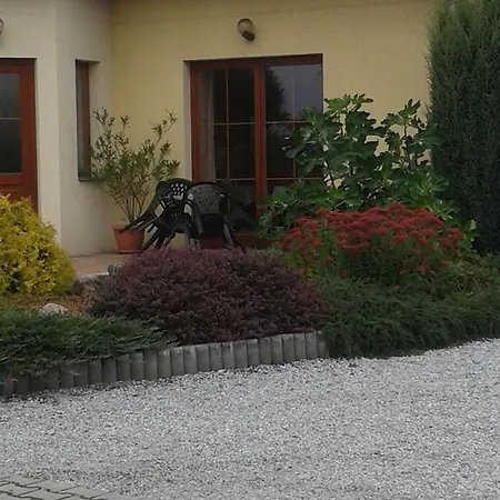 Olga Guest house 3*
