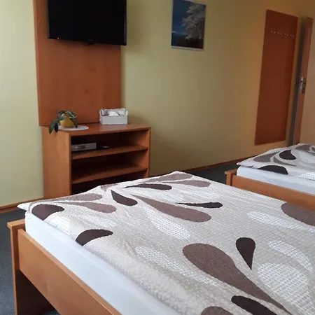 Guest house Olga 3*