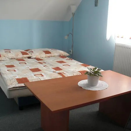 Guest house Olga 3*